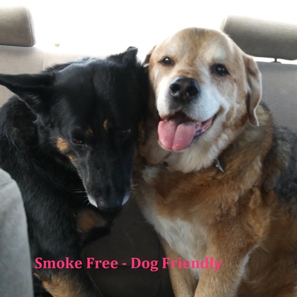 Welcome to my Closet, thanks for dropping by - Picture 2 of 9